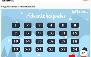 katzen.de Gewinnspiel