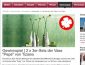 Blooms Deco Gewinnspiel