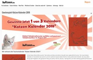 Katzen.de Gewinnspiel