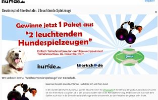 Hunde Spielzeug Gewinnspiel