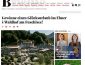 Fuschlsee Urlaub Gewinnspiel, Brigitte Gewinnspiel