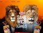 Südafrika Reise Gewinnspiel, Sandwichkings Gewinnspiel