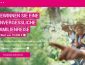 Telekom Familienurlaub Gewinnspiel, Telekom Gewinnspiel