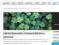 Bellvita Wasserbett Gewinnspiel, fit For Fun Gewinnspiel