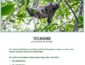 Costa Rica Reise Gewinnspiel, Globetrotter Gewinnspiel