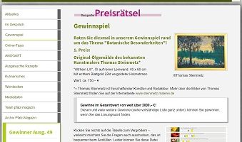 Thomas Steinmetz Ölgemälde Gewinnspiel, Pfalz Magazin Gewinnspiel