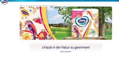 Zewa Code eingeben, Zewa Gewinnspiel